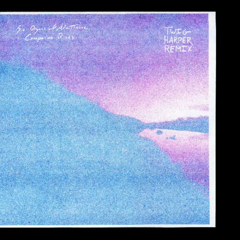 Six Organs of Admittance - Companion Rises (twig Harper Remix)  LP LP